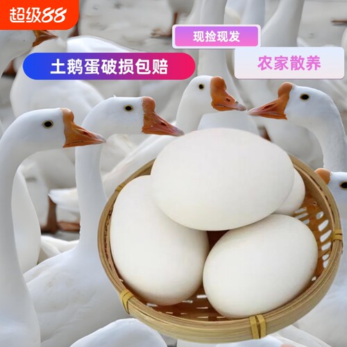 农家散养鹅蛋新鲜孕妇土鹅蛋大鹅蛋天然现捡现发