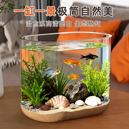 鱼缸小型斗鱼缸生态造景