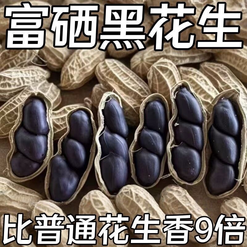 特价】正宗云南富硒黑花生正品黑花生带壳紫衣花生黑衣养胃生花生