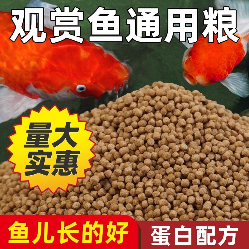锦鲤鱼饲料金鱼专用鱼食小颗粒草金鱼兰寿通用鱼粮观赏鱼家用鱼料