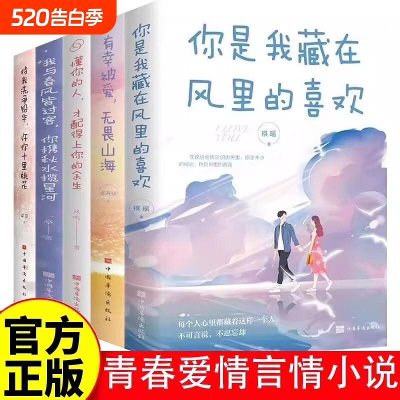 青春爱情言情小说书籍你是我风里的有幸被爱无畏山海懂你的人才配得上