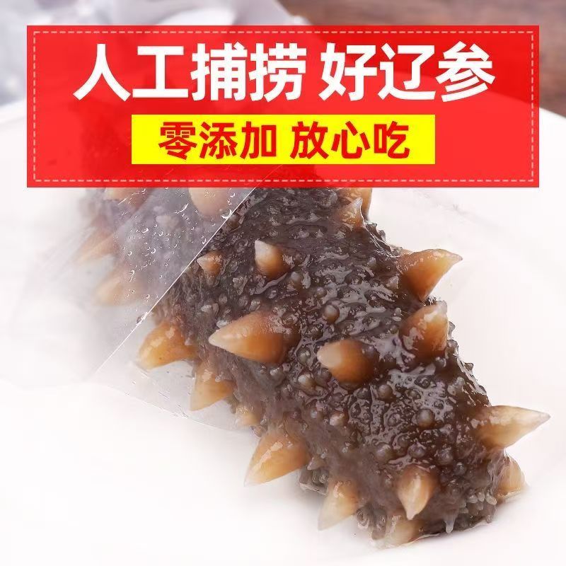 滋补海参大连正宗原产地直发刺参