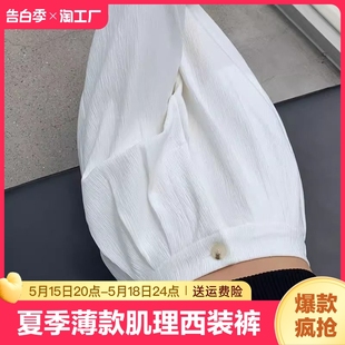 西装 大码 女高腰垂感夏季 肌理感窄版 裤 阔腿裤 直筒宽松胖mm休闲梨形