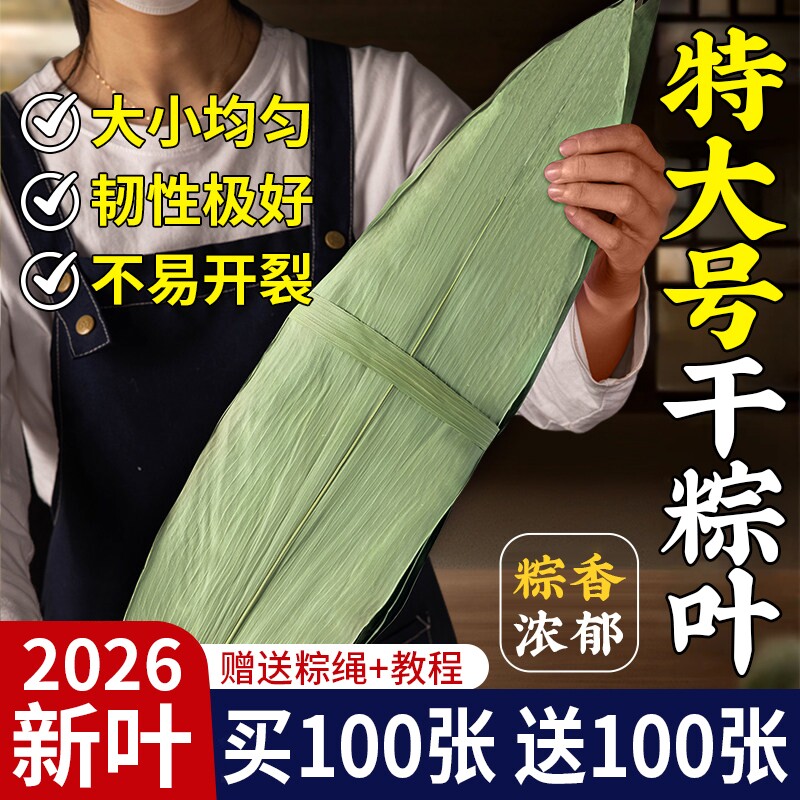 粽子叶棕叶新鲜大号新叶包粽子专用的叶子端午节商用批发干粽叶大