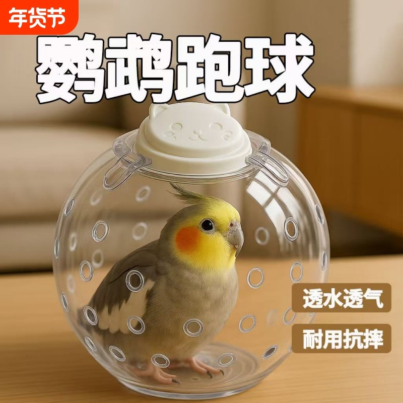 鹦鹉跑球玩具解闷自嗨虎皮牡丹耐啃咬跑轮小鸟益智解压用品,宠物/宠物食品及用品,鸟窝,淘宝优惠券,粉丝福利购,淘宝优惠卷