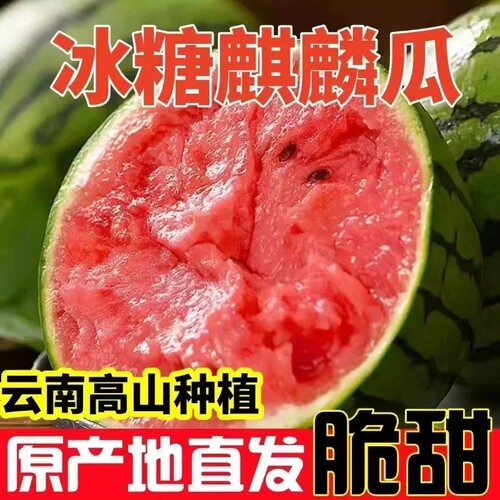 正宗冰糖麒麟西瓜西瓜新鲜水果应季薄皮现摘整少籽箱超甜一整个瓜