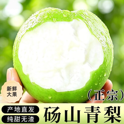正宗砀山青皮梨蜜梨当季新鲜水果整箱翠冠梨皇冠梨现摘酥脆原产地