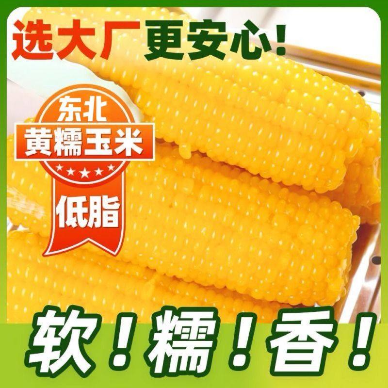 黄糯玉米5斤（250g*10根）东北甜黏鲜玉米棒真空包装早餐苞米,粮油调味/速食/干货/烘焙,玉米,淘宝优惠券,粉丝福利购,淘宝优惠卷