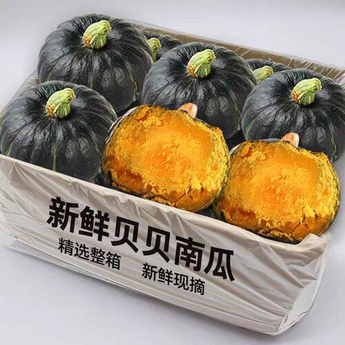 贝贝南瓜正宗粉糯新鲜板栗味