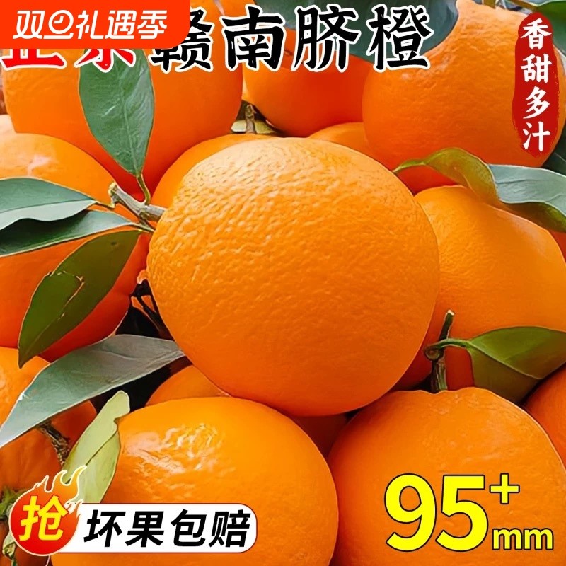 江西赣南脐橙新鲜橙子当季水果手剥冰糖甜橙大果整箱包邮果园现摘