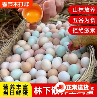 正宗农家鸡蛋湖北山林散养40枚初生蛋月子蛋无菌营养拼装土鸡蛋