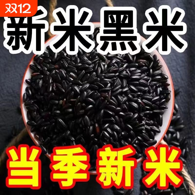 农家黑米新米黑珍珠黑米批发无染色无熏硫黑大米五谷杂粮新货