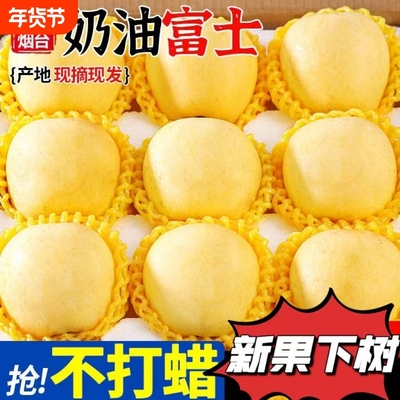 正宗奶油富士烟台苹果黄金红富士新鲜水果山东脆甜整箱礼盒现摘