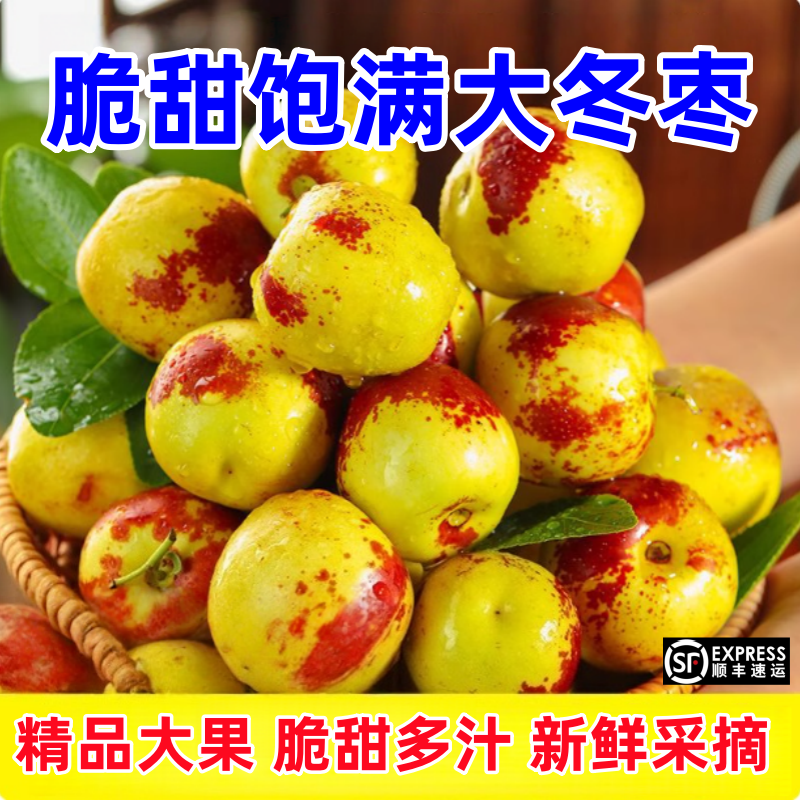 顺丰包邮正宗冬枣新鲜大果应季整箱枣子现摘脆枣冰糖大枣当季水果