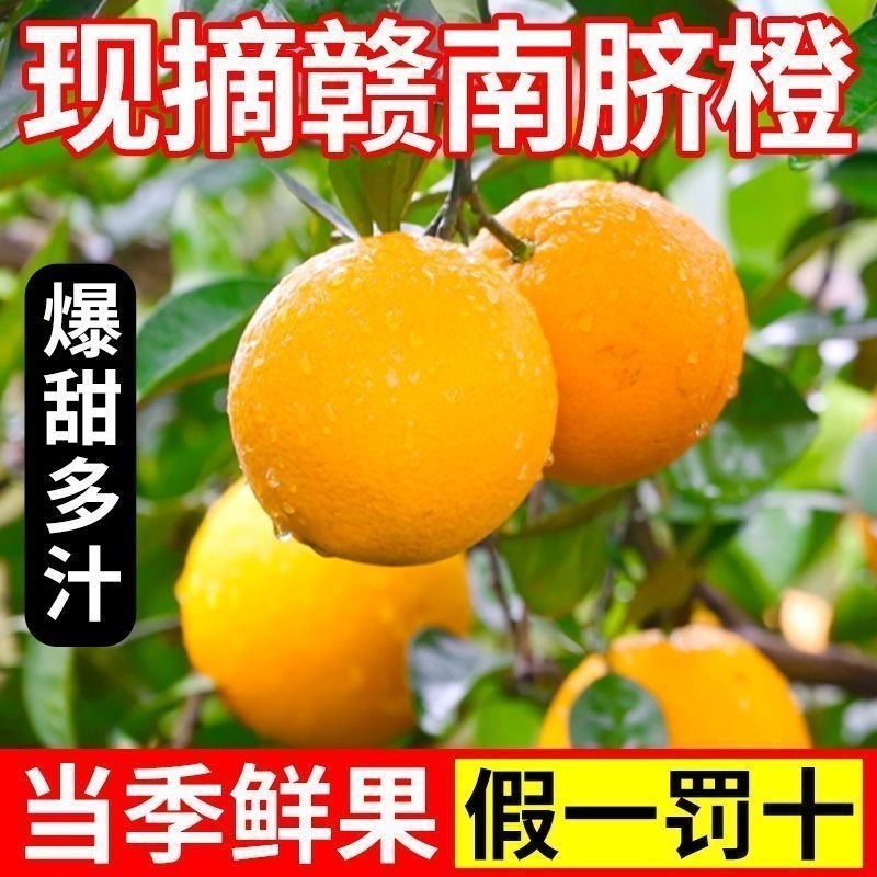 正宗江西赣州赣南脐橙新鲜水果10斤产地直发当季整箱橙子现摘礼盒