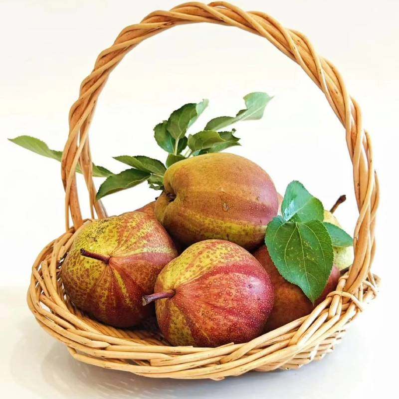 陕西彩虹梨稀有水果梨子应季香梨酥梨蜜酸甜口感非雪梨冻梨多规格,水产肉类/新鲜蔬果/熟食,梨,淘宝优惠券,粉丝福利购,淘宝优惠卷