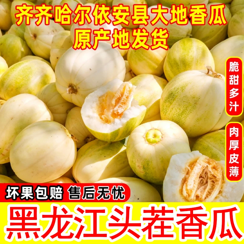 东北香瓜黑龙江大地甜瓜当季水果头茬现摘新鲜多汁产地直发