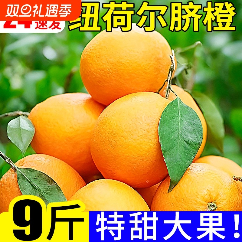 正宗秭归纽荷尔脐橙当季新鲜橙子现摘脐橙新鲜水果榨汁整箱包邮