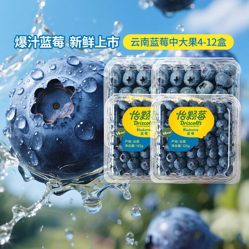 怡颗莓云南蓝莓当季新鲜水果优惠尝鲜可食用