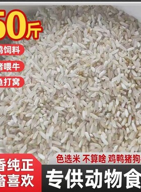 色选米50斤低价饲料用米喂动物鸡鸭鹅狗猪牛羊钓鱼打窝便宜大米