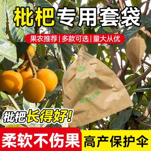 枇杷专用套袋梨子芒果纸袋防水防虫防鸟水果套袋枇杷袋梨袋芒果袋