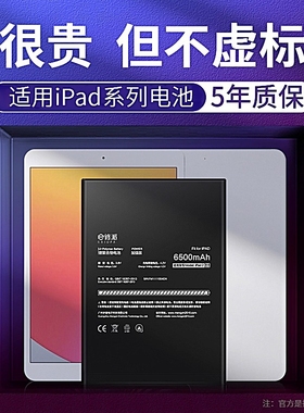 E修派电池A2068适用ipadA2228苹果A2229 A2232平板A1934 A1979一代A1980更换二代换11电脑2013四代A2230 2231