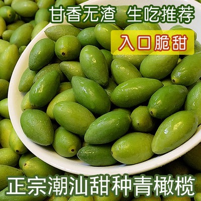 新鲜甜种青橄榄果特甜鲜橄榄金灶冰糖橄榄水果零食生吃甜橄榄潮汕