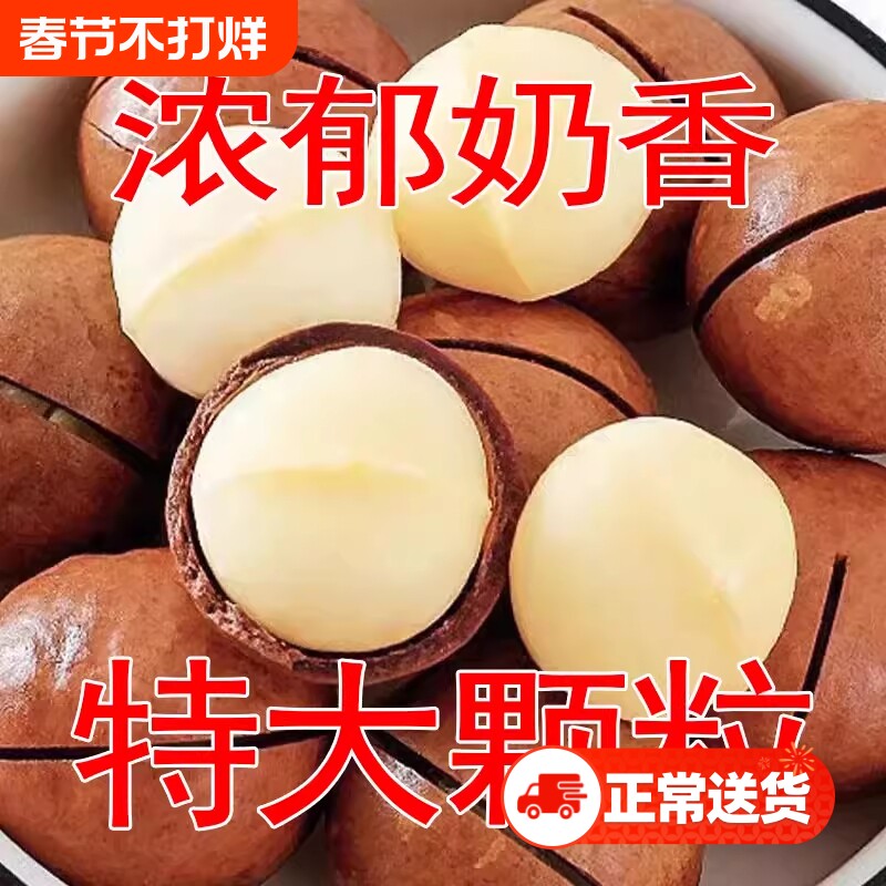 25新货夏威夷果奶油味无干燥剂大颗饱满每日坚果孕妇儿童解馋休闲