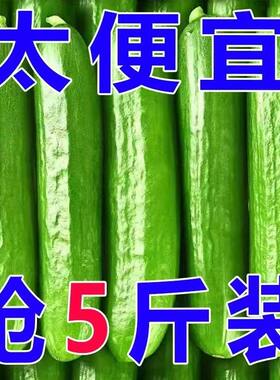 新鲜现摘水果小黄瓜嫩青瓜生吃蘸酱脆甜无刺小青瓜精品凉拌采摘