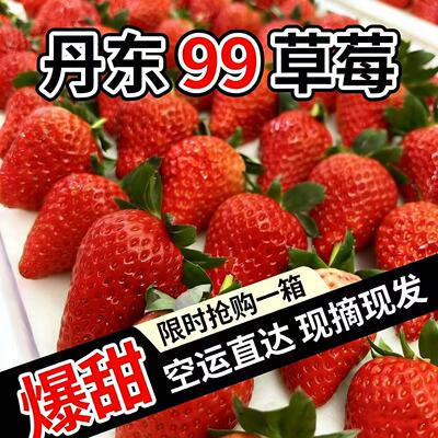 丹东99草莓新鲜现摘九九东港奶油鲜红颜草莓孕妇牛奶整箱顺丰包邮