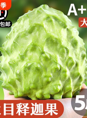 顺丰【大目释迦果】冰淇淋口感