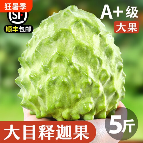 顺丰【大目释迦果】冰淇淋口感