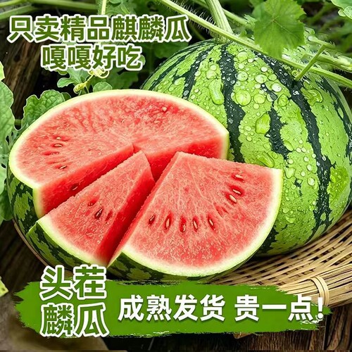 现摘超甜正宗美都8424冰糖麒麟西瓜薄皮多汁黑籽当季西瓜新鲜水果
