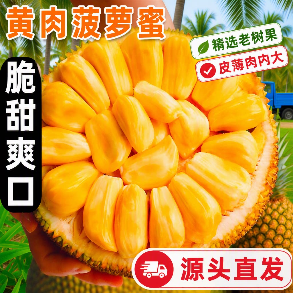 海南黄肉新鲜菠萝蜜一整个孕妇水果当季干苞脆甜波罗蜜热带黄金