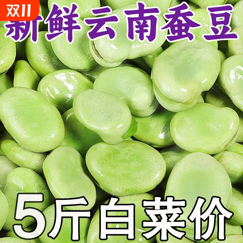 云南新鲜带壳蚕豆甜嫩饱满带壳发