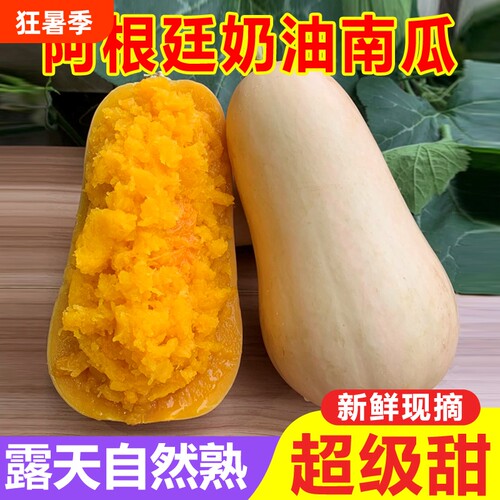 正宗奶油南瓜软糯香甜