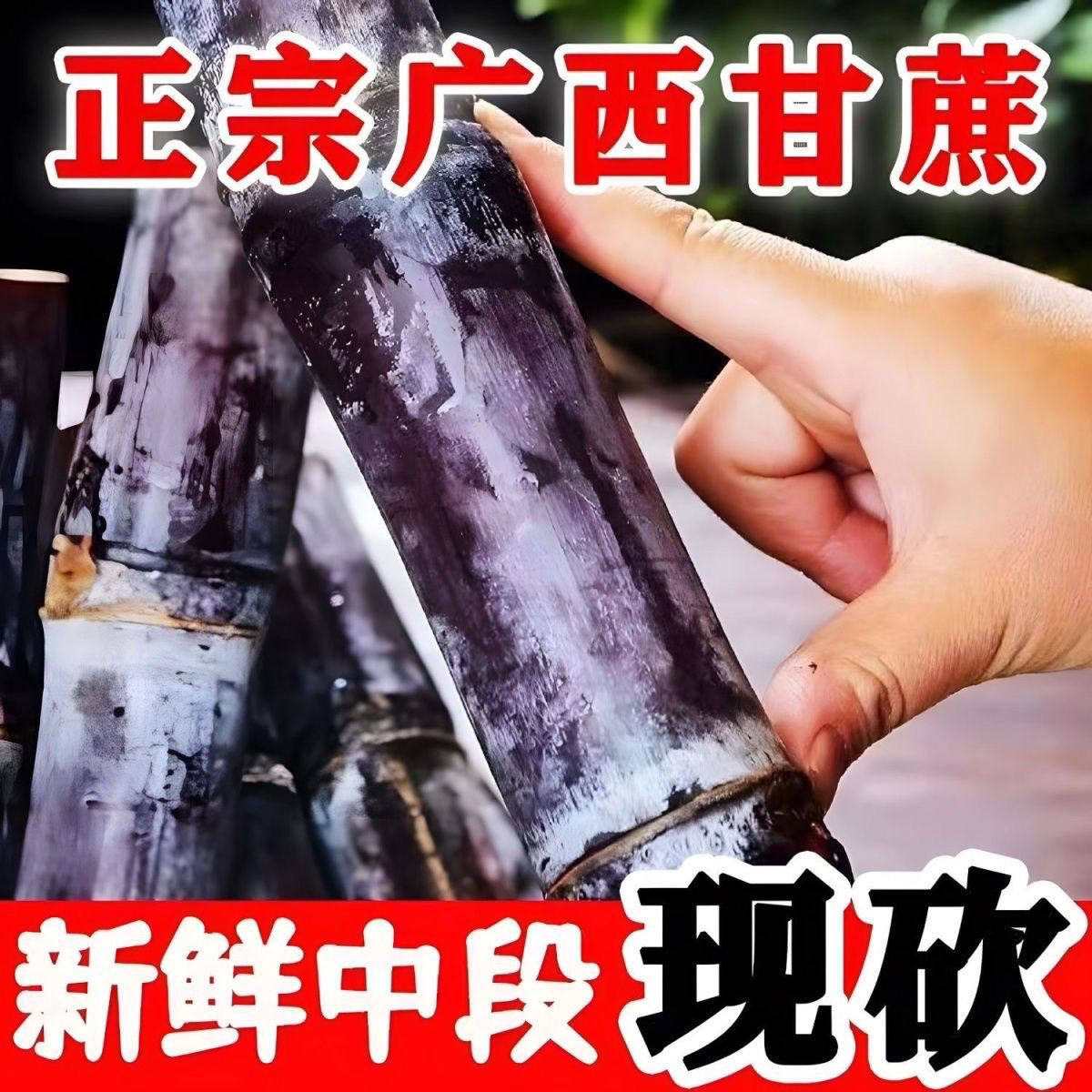 广西黑皮甘蔗9斤时令当季新鲜水果包邮脆皮一级甘蔗特产脆甜榨汁