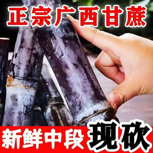 脆皮一级甘蔗特产脆甜榨汁 包邮 广西黑皮甘蔗9斤时令当季 新鲜水果
