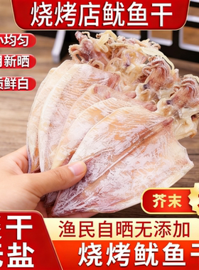 广东湛江芥末手撕烧烤鱿鱼干干货A5专用即食炒菜煲汤商用淡干整只