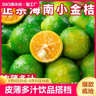 新鲜海南小金桔饮品专用5斤