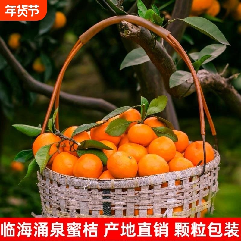 临海涌泉蜜桔新鲜橘子10斤高山当季水果整箱台州黄岩蜜橘无核薄皮,水产肉类/新鲜蔬果/熟食,桔子,淘宝优惠券,粉丝福利购,淘宝优惠卷