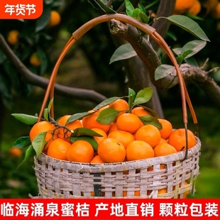 临海涌泉蜜桔新鲜橘子10斤高山当季水果整箱台州黄岩蜜橘无核薄皮