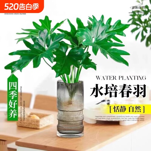 基地直销 新品特惠