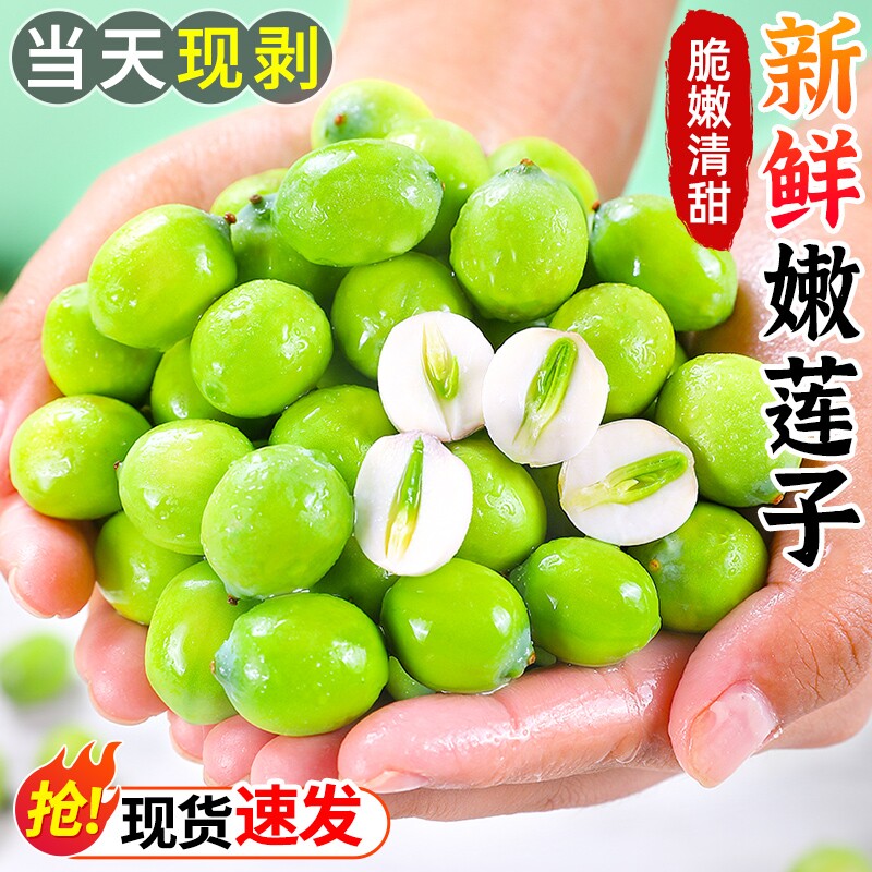 湖南新鲜莲子现摘当季水果莲湘莲生吃甜嫩莲子米太空莲蔬菜包邮
