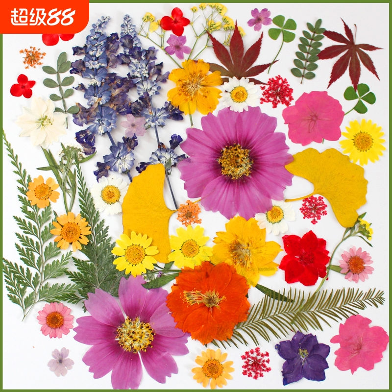 干花diy材料包永生花压花片押花草手工滴胶书签真花植物树叶标本