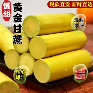 黄金甘蔗蜜甜脆新鲜超甜黄皮甘蔗新鲜精品南方应季水果