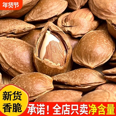 新货开口杏核原味炒货办公室手剥休闲带壳大颗粒五香健康坚果年货