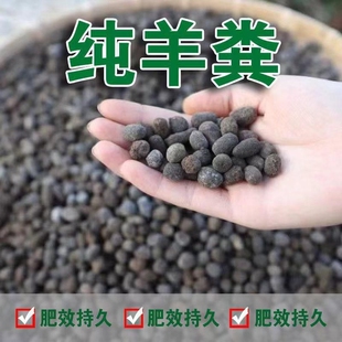 纯羊粪蛋有机肥颗粒大棚果园专用氮磷钾复合羊屎蛋绿植植物发酵
