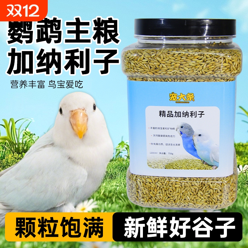 加纳利子鸟粮营养主食玄凤鹦鹉虎皮牡丹金丝雀主食食谷鸟混合粮
