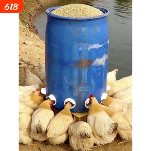 养鸡自动喂食器防老鼠喂鸡专用懒人吃食神器自动投喂器防刨鸡食槽